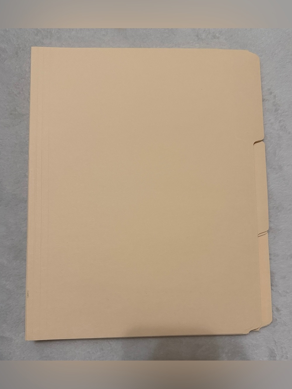 BACK TO SCHOOL SALE ✏️ 📚 🍎 
Manilla File Folders